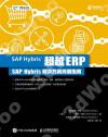 超越ERP:SAP Hybris解決方案簡明指南 超越ERP:SAP Hybris解決方案簡明指南