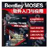 Bentley MOSESnJP