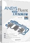 ANSYS Fluent2020u{רҸԸ